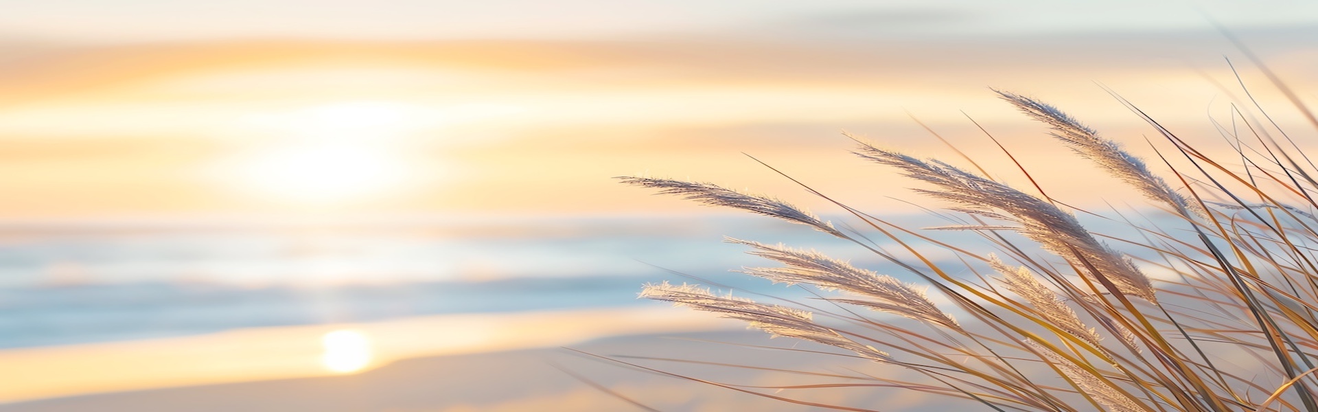 Was ist funktionelle Medizin?
